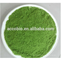 Suplemento nutricional de extracto de Chlorella, polvo de Chlorella / tabletas